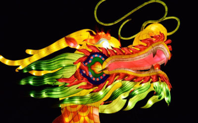 La Cina chiama, la Scuola risponde