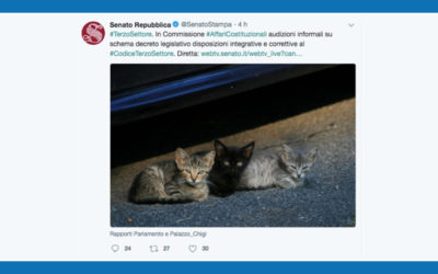 L’insostenibile leggerezza del Terzo Settore