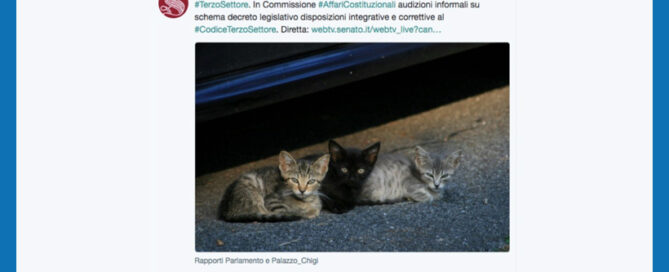 gattini-terzo-settore-senato