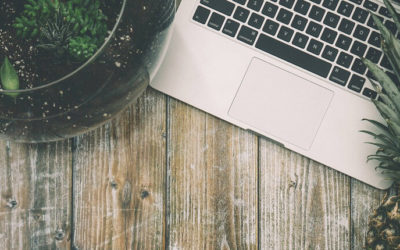 Formazione a distanza: impara le basi del fundraising con un corso innovativo