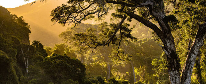 biodiversita-nonprofit-italiano-fundraising-crisi