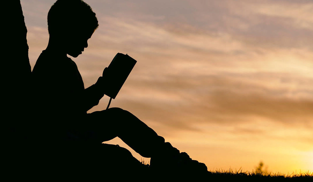 Promuovere la lettura con il fundraising: corso di formazione con gli operatori in Umbria