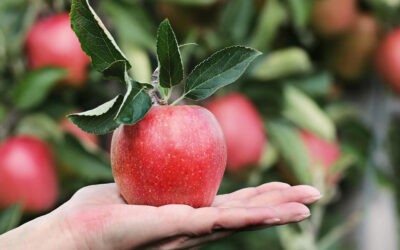 Autumn fundraising class: la nostra proposta formativa per l’autunno