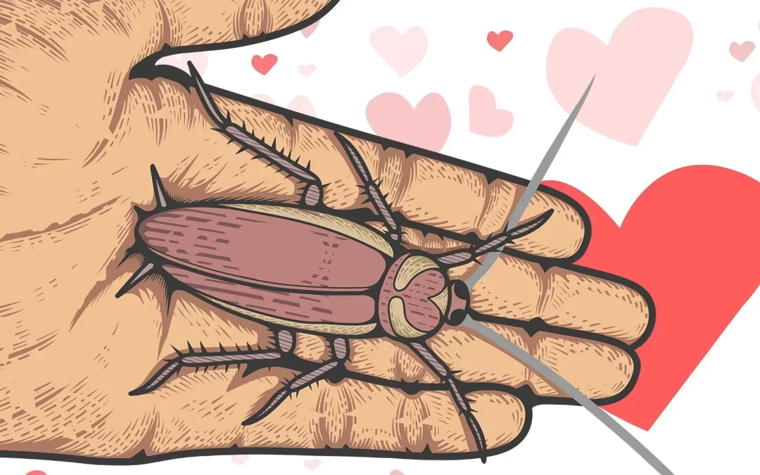 Per San Valentino: dai il nome del tuo ex ad una blatta!