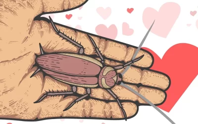 Per San Valentino: dai il nome del tuo ex ad una blatta!
