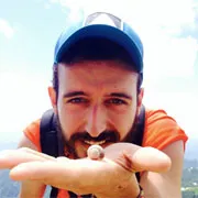 Michele Messina